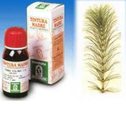 Sp.equisetum arv. tm 50ml