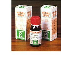 Sp.hieracium pilosella tm 50ml