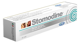 Stomodine Gel 30 Ml