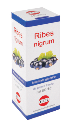 Ribes nigrum mg 100 ml gocce