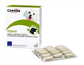 Hybrid 30 Compresse