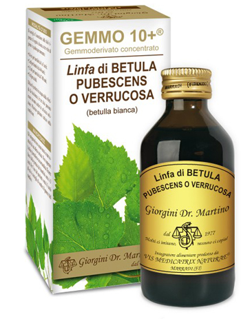 Betulla bianca gemmo 10+ 100ml