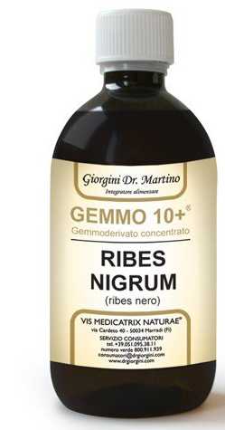 Ribes nero gemme 10+500ml gmg