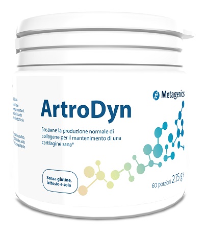 Artrodyn 60 porzioni 275 g