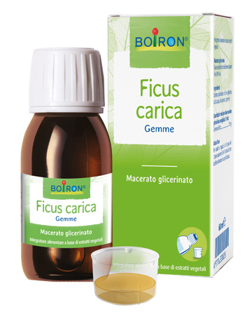 Bo.ficus carica mg 60ml