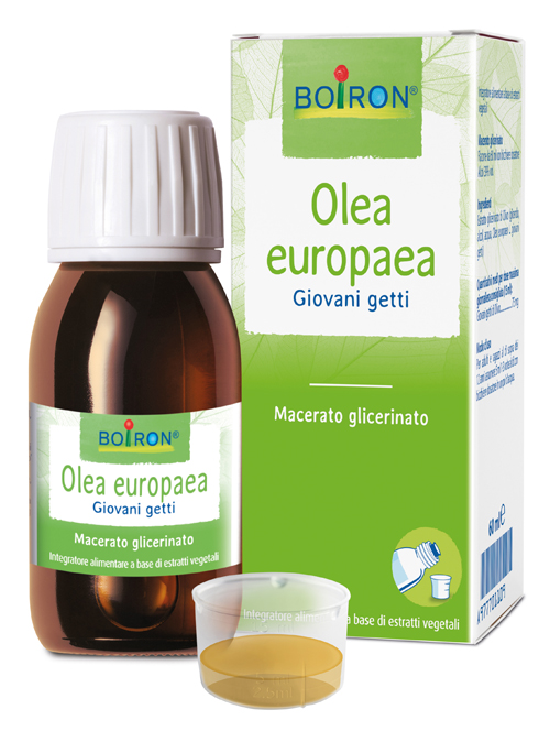 Bo.olea europea mg 60ml