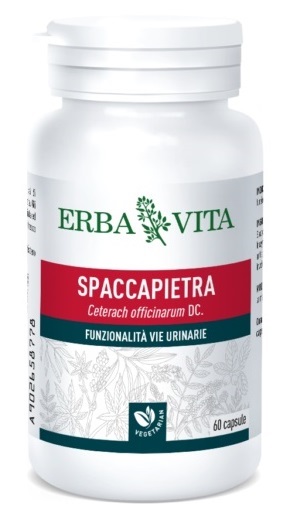 Erba Vita Spaccapietra 60 Capsule 500 mg