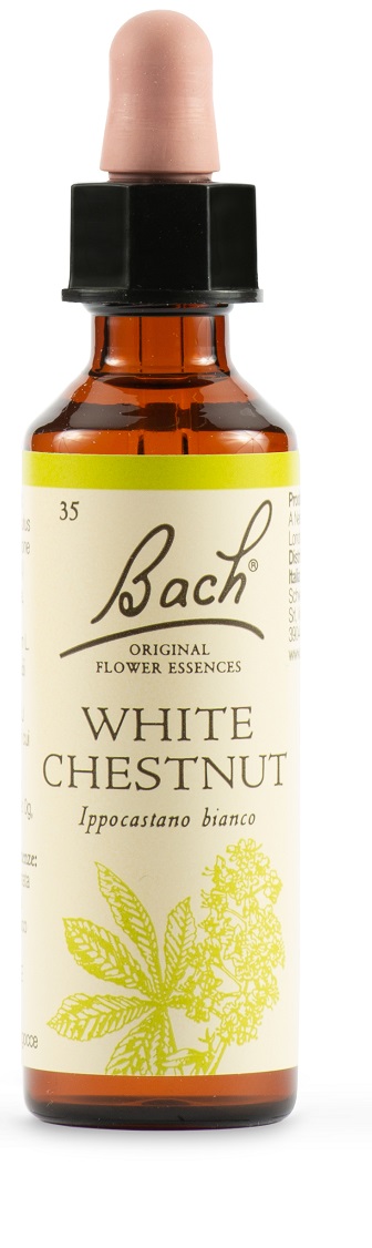 Bach 35 white chestnut 20ml