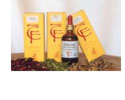 Viburno gemme 100ml mg