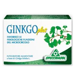 Ginkgo Plus 30 Capsule Specch.