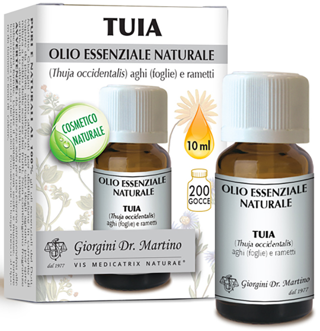 Thuja olio ess.10ml