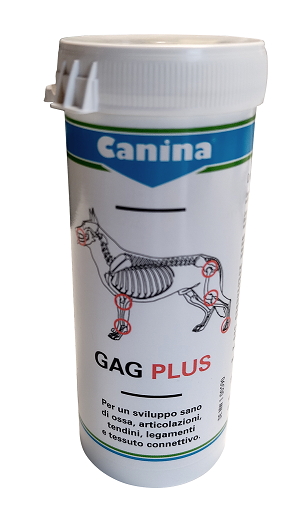 Gagplus 200G Ca.120 Compresse