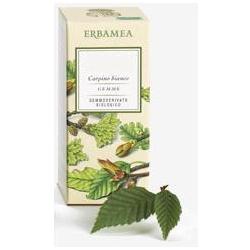 Tilia tormentosa gemme gd bio