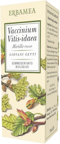 Vaccinium vitis idaea mirtillo rosso bio 50 ml