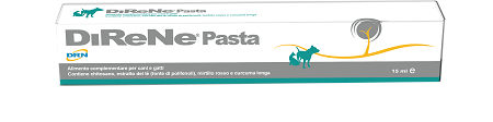 DiReNe® Paste