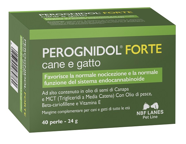 Perognidol forte perle