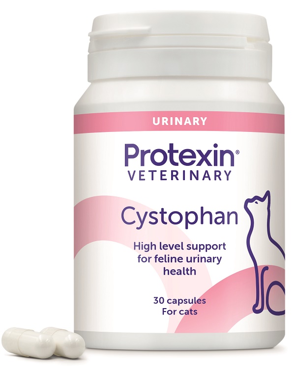 Cystophan 30 capsule