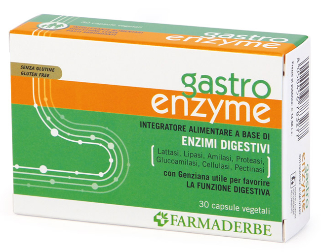Gastro enzyme 30 capsule