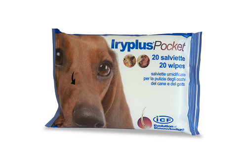 Iryplus pocket salviettine 20 pezzi