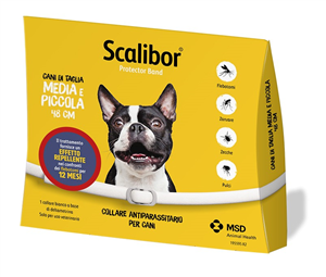 Scalibor coll.cani media/picc.