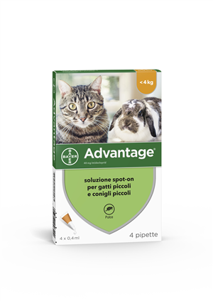 Advantage 4 pip.0,4ml spot-on