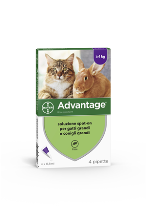 Advantage 4 pip.0,8ml spot-on