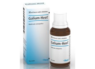 Galium gtt 30ml