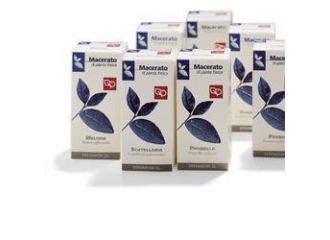 Scutellaria tintura madre 100 ml