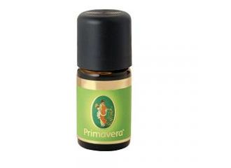 Zenzero olio essenziale bio 5 ml