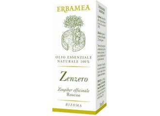 Zenzero 10 ml