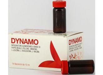 Dynamo 14 flaconcini da 10 ml