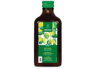 La mia bevanda attiva betulla 200 ml