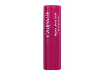 Caudalie balsamo labbra colorato 4,5 g