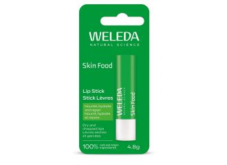 Skin food stick labbra 4,8 g