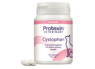 Cystophan 30 capsule