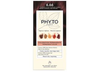 Color kit phytocolor 6,66 castano intenso rosso ciliegia 1 latte rivelatore 50 ml + 1 crema colorante 50 ml + 1 maschera prolunga colore 10 ml + 1 paio di guanti