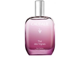 The des vignes acqua profumata 100 ml