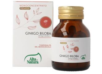 Ginkgo biloba 100 compresse da 900 mg terranata