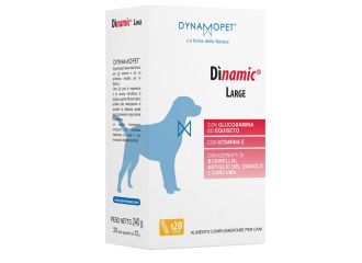 Dinamic large 20 stick da 12 g