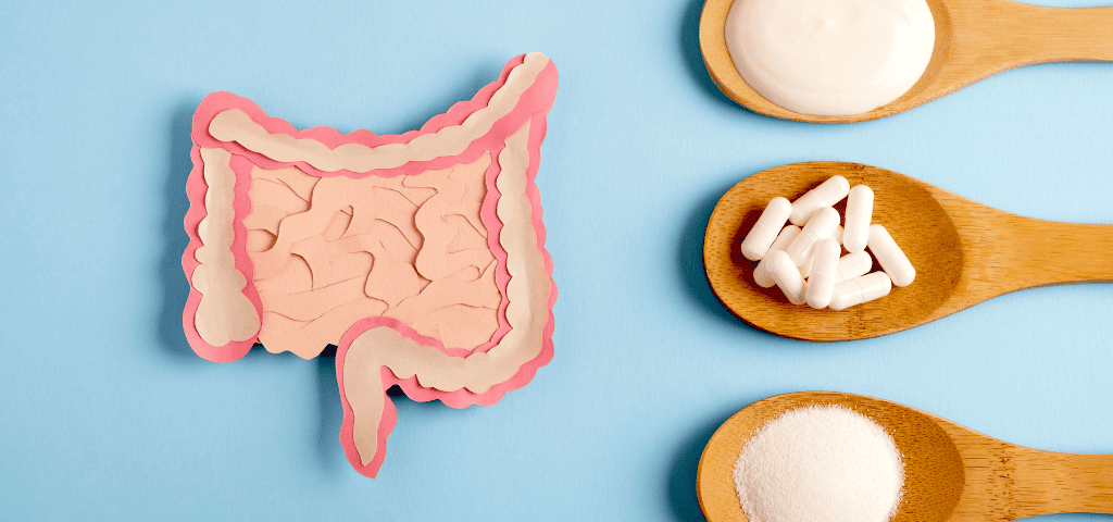 Probiotici e prebiotici: differenze, benefici e quando assumerli